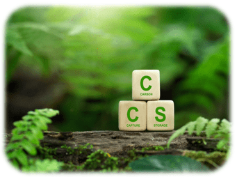 Three wooden blocks with carbon, capture and storage written on each of them on a lush green background