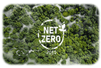 White Net Zero text within green tree tops with mist