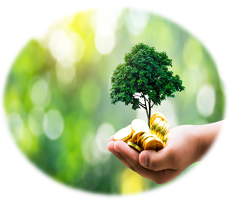Renewable investments - hands holding a green tree and gold coints on a leaf green background