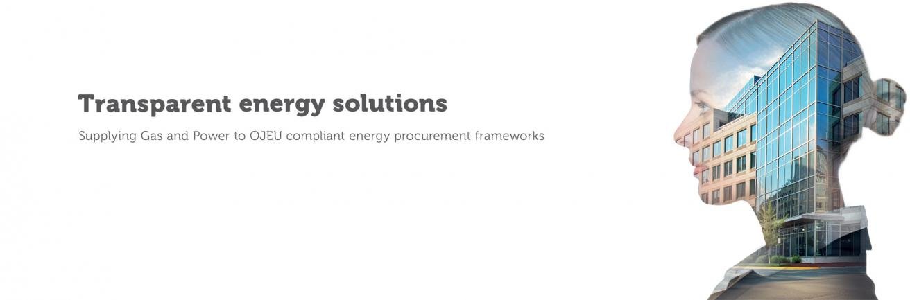 Public Sector -  Transparent energy solutions

