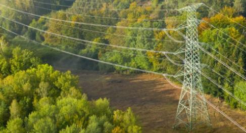 Electricity pylon in a green forest